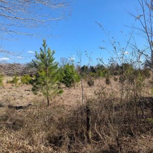 Photo #16 of GOLDFINCH CT, SCOTTSVILLE, VA 6.8 acres