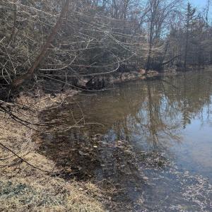 Photo #9 of GOLDFINCH CT, SCOTTSVILLE, VA 6.8 acres