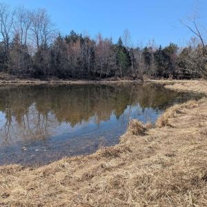 Photo #10 of GOLDFINCH CT, SCOTTSVILLE, VA 6.8 acres