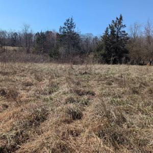 Photo #12 of GOLDFINCH CT, SCOTTSVILLE, VA 6.8 acres