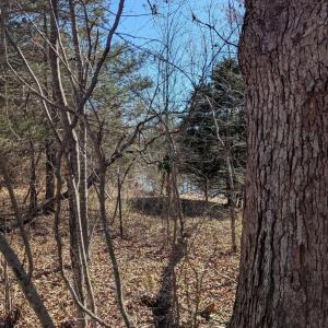 Photo #15 of GOLDFINCH CT, SCOTTSVILLE, VA 6.8 acres