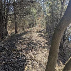 Photo #11 of GOLDFINCH CT, SCOTTSVILLE, VA 6.8 acres