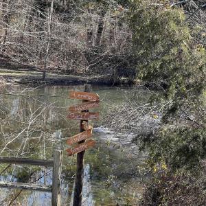 Photo #16 of ROCK QUARRY RD, LOUISA, VA 5.0 acres