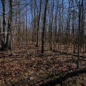 Photo #18 of TBD KEMBLE SPRING LN, ELKTON, VA 4.0 acres