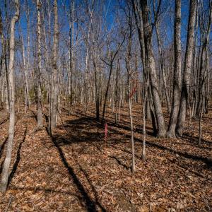 Photo #23 of TBD KEMBLE SPRING LN, ELKTON, VA 4.0 acres