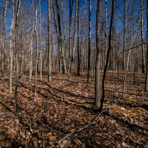 Photo #22 of TBD KEMBLE SPRING LN, ELKTON, VA 4.0 acres