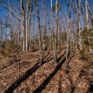 Photo #25 of TBD KEMBLE SPRING LN, ELKTON, VA 4.0 acres