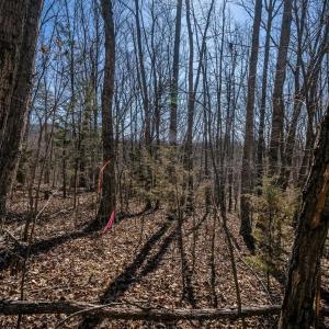 Photo #20 of TBD KEMBLE SPRING LN, ELKTON, VA 4.0 acres