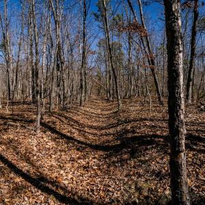 Photo #26 of TBD KEMBLE SPRING LN, ELKTON, VA 4.0 acres