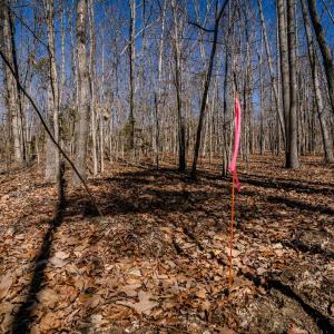 Photo #24 of TBD KEMBLE SPRING LN, ELKTON, VA 4.0 acres