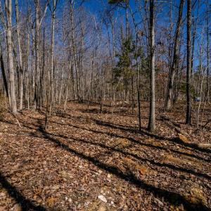 Photo #21 of TBD KEMBLE SPRING LN, ELKTON, VA 4.0 acres