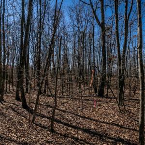 Photo #19 of TBD KEMBLE SPRING LN, ELKTON, VA 4.0 acres