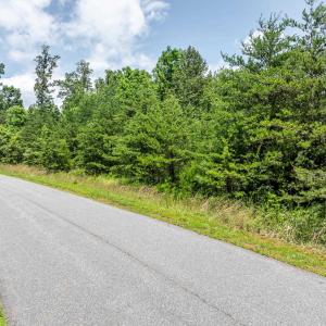 Photo #6 of MILLHOUSE DR, RUCKERSVILLE, VA 2.2 acres