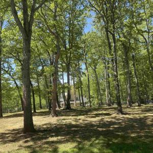 Photo #3 of NIBLICK LN, PALMYRA, VA 0.4 acres