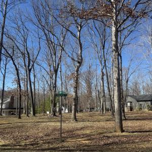 Photo #4 of NIBLICK LN, PALMYRA, VA 0.4 acres