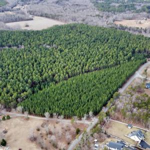 Photo #6 of GREEN SPRING RD, LOUISA, VA 246.0 acres