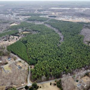 Photo #2 of GREEN SPRING RD, LOUISA, VA 246.0 acres