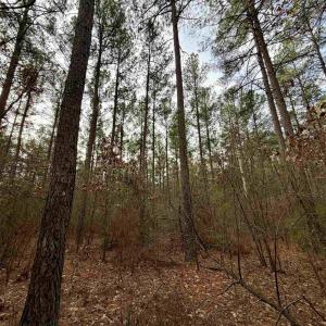 Photo #17 of GREEN SPRING RD, LOUISA, VA 246.0 acres