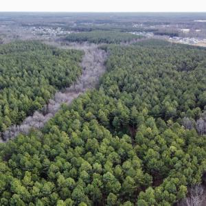 Photo #13 of GREEN SPRING RD, LOUISA, VA 246.0 acres