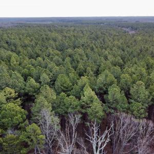 Photo #11 of GREEN SPRING RD, LOUISA, VA 246.0 acres