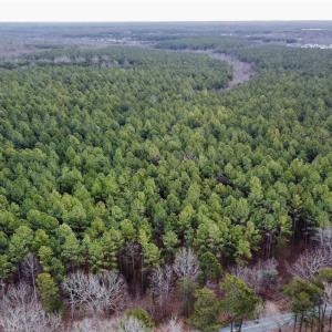 Photo #10 of GREEN SPRING RD, LOUISA, VA 246.0 acres