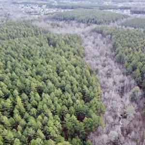 Photo #15 of GREEN SPRING RD, LOUISA, VA 246.0 acres