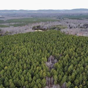 Photo #14 of GREEN SPRING RD, LOUISA, VA 246.0 acres