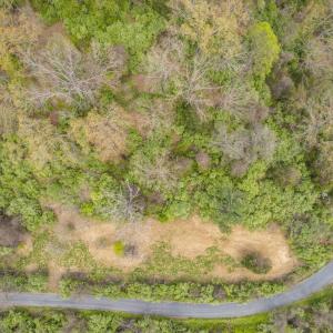 Photo #4 of TBD LAKESIDE DR, CHARLOTTESVILLE, VA 3.8 acres