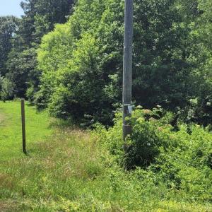 Photo #5 of MONROE BAY CIR, COLONIAL BEACH, VA 0.5 acres