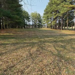 Photo #1 of 355 NATIONAL AVE, STAUNTON, VA 2.5 acres