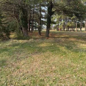 Photo #4 of 355 NATIONAL AVE, STAUNTON, VA 2.5 acres