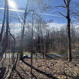 Photo #5 of Lot 28 STONE CHIMNEYS RD, NELLYSFORD, VA 1.8 acres