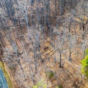 Photo #16 of Lot 28 STONE CHIMNEYS RD, NELLYSFORD, VA 1.8 acres