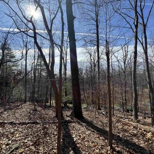 Photo #7 of Lot 28 STONE CHIMNEYS RD, NELLYSFORD, VA 1.8 acres