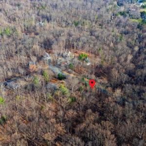 Photo #13 of Lot 28 STONE CHIMNEYS RD, NELLYSFORD, VA 1.8 acres