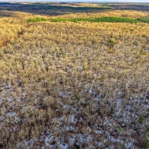 Photo #6 of JUSTICE DR, GORDONSVILLE, VA 31.2 acres