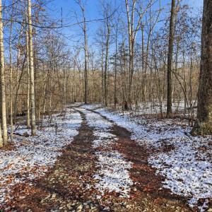 Photo #12 of JUSTICE DR, GORDONSVILLE, VA 31.2 acres