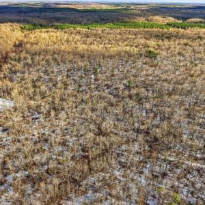 Photo #5 of JUSTICE DR, GORDONSVILLE, VA 31.2 acres