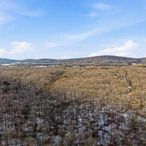 Photo #11 of JUSTICE DR, GORDONSVILLE, VA 31.2 acres