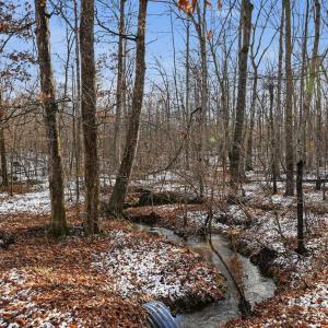 Photo #4 of JUSTICE DR, GORDONSVILLE, VA 31.2 acres