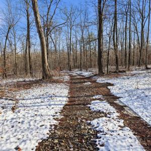 Photo #13 of JUSTICE DR, GORDONSVILLE, VA 31.2 acres