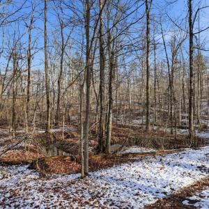 Photo #3 of JUSTICE DR, GORDONSVILLE, VA 31.2 acres