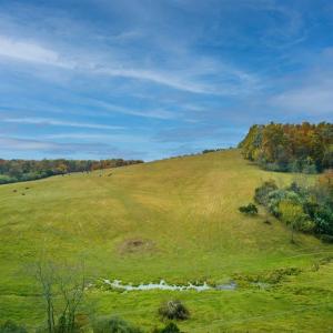 Photo #3 of TBD OLD B AND O RD, RAPHINE, VA 67.6 acres