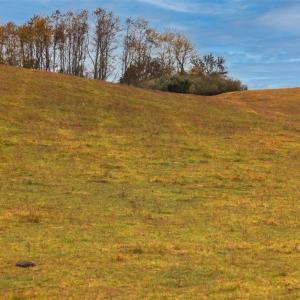 Photo #28 of TBD OLD B AND O RD, RAPHINE, VA 67.6 acres