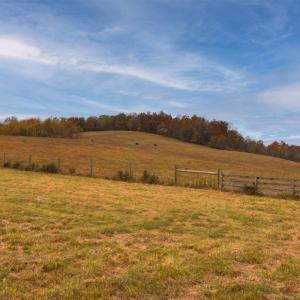 Photo #19 of TBD OLD B AND O RD, RAPHINE, VA 67.6 acres