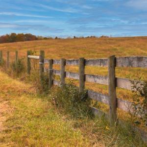 Photo #24 of TBD OLD B AND O RD, RAPHINE, VA 67.6 acres