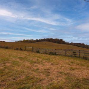 Photo #15 of TBD OLD B AND O RD, RAPHINE, VA 67.6 acres