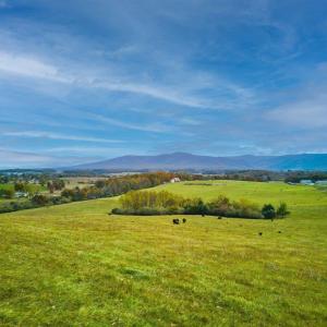 Photo #2 of TBD OLD B AND O RD, RAPHINE, VA 67.6 acres