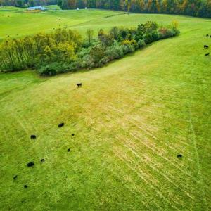 Photo #9 of TBD OLD B AND O RD, RAPHINE, VA 67.6 acres