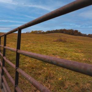 Photo #34 of TBD OLD B AND O RD, RAPHINE, VA 67.6 acres